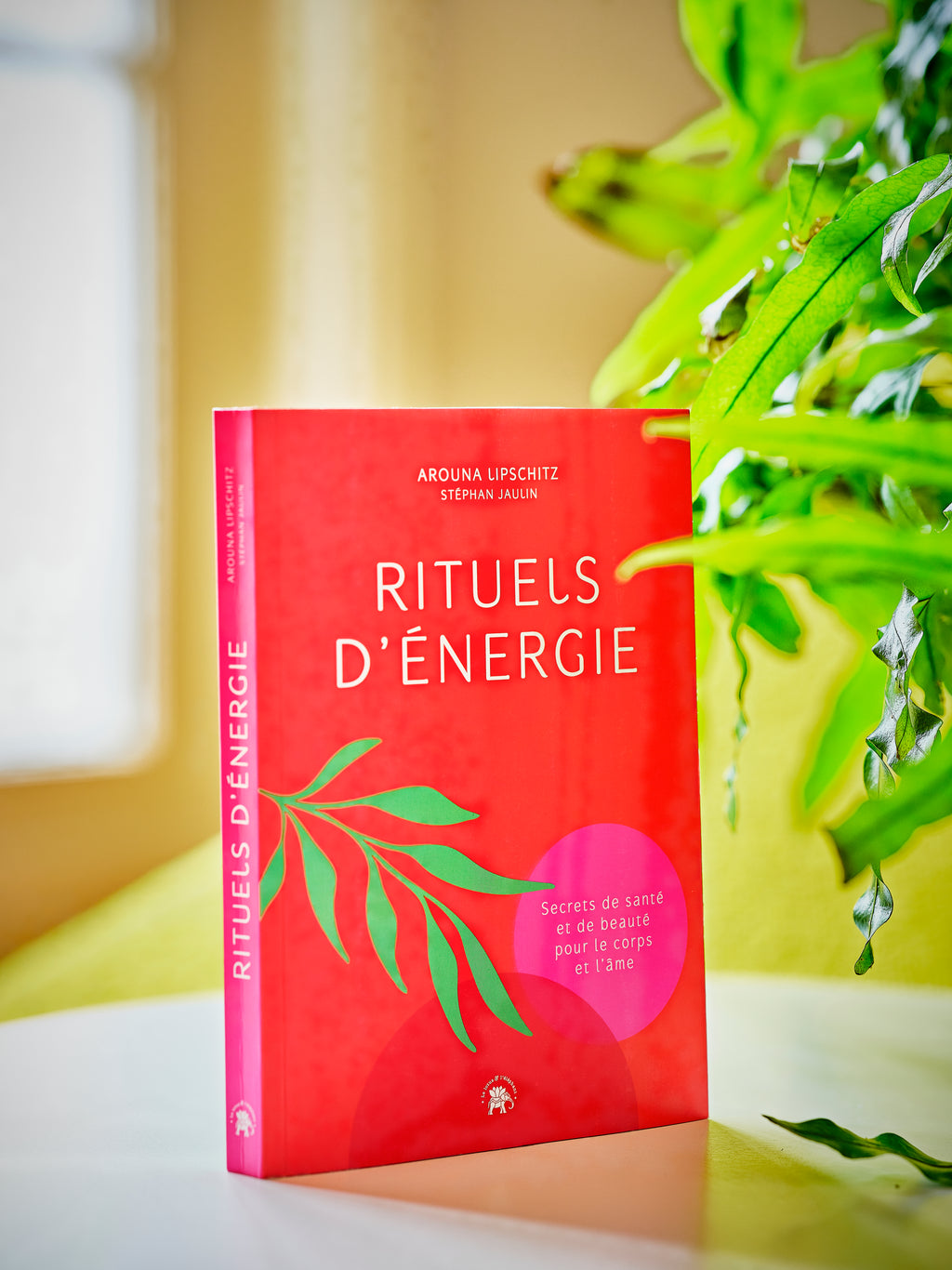"Rituels d'Énergie" - Livre | Stephan Jaulin